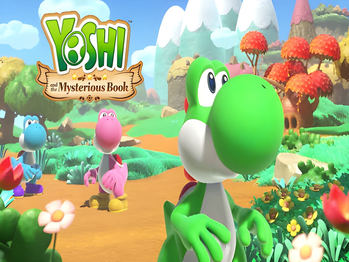 yoshi and the mysterious bok